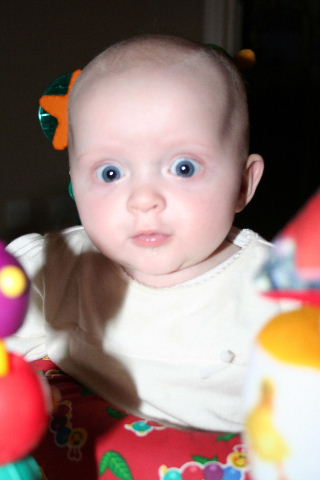 img_2913.jpg